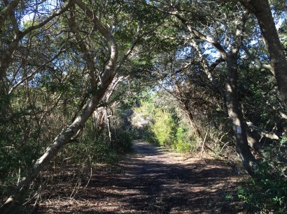 Huntington State Park