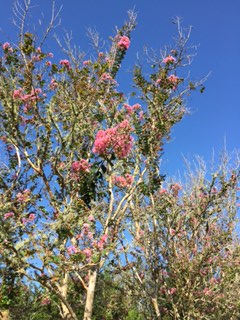 C85A8418-8DEB-46BF-B6E8-CDABBC1694C1