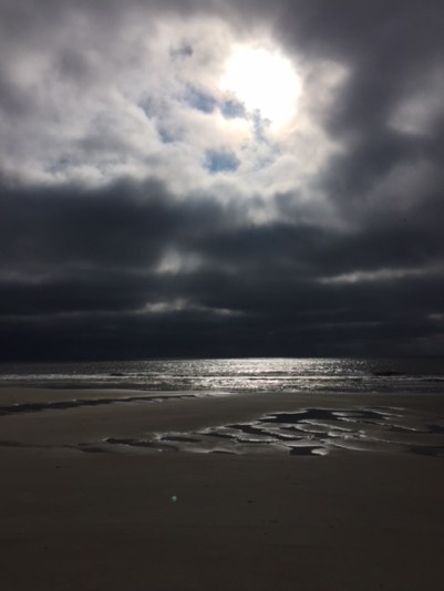 C80CA677-834D-419F-8444-C2F946736169