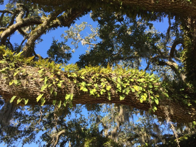 6559B8BF-33CB-46F9-B989-0781DE77BD56