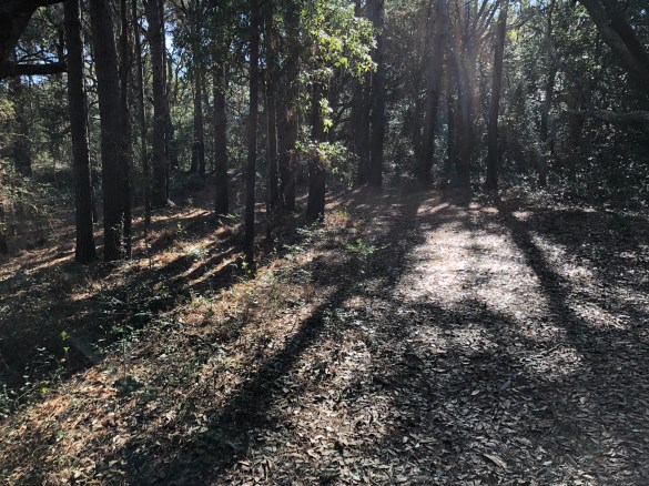 0D18F9EC-D105-433F-9A70-5708FFFAF497