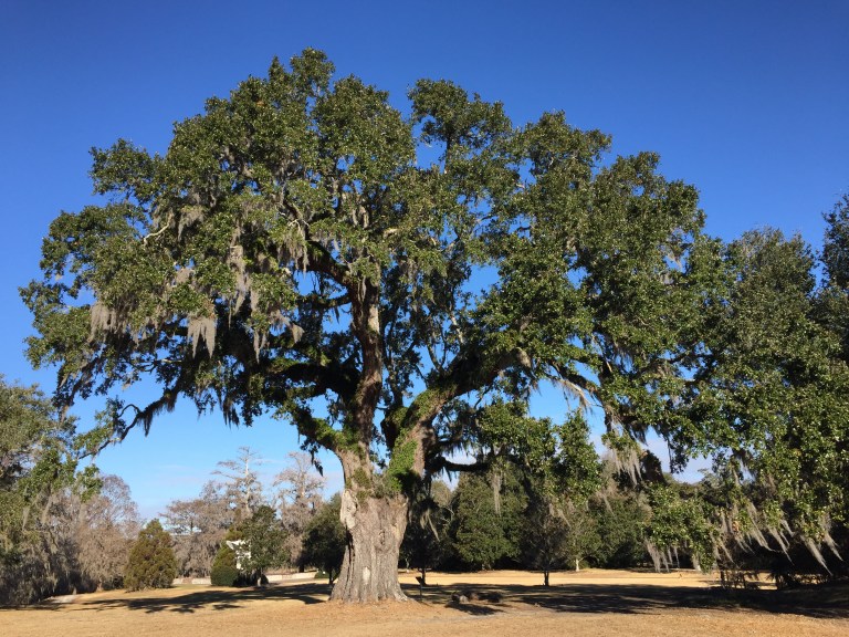 4EFFE5DF-0DF5-4C2C-B521-3238180BF7F1