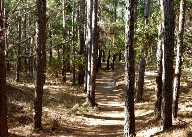 2567F01A-9BFA-459A-BBC3-EC756C06C738