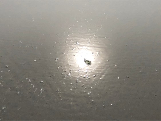 3E057F4F-17B0-4552-9EFC-FE06CCC310B6