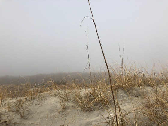 520145AD-2027-4216-A388-BCA8C5A220F8