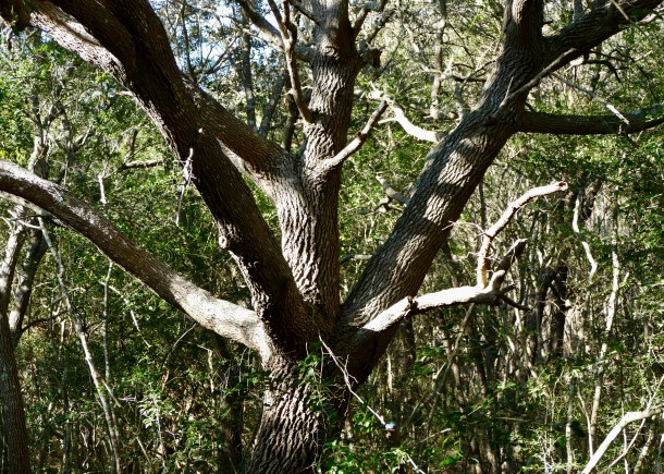 66219B26-FC27-4FE2-BABD-65D97CC905E7