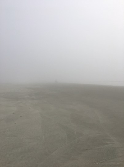 835946CC-DE97-4F09-97BB-8DADF5E29FFD