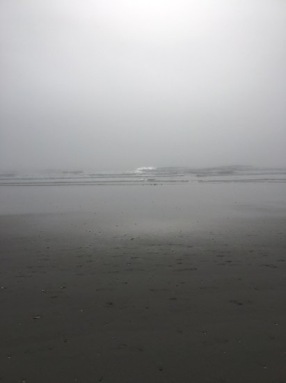 E6FF83B5-19D3-453E-AE0A-BE532C8770DF