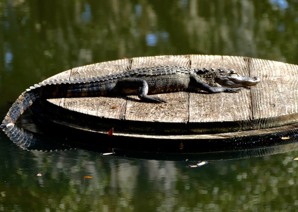 0E5C1E37-13A3-4805-A24B-E2858864214D