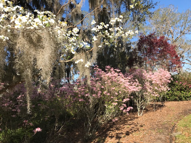 2A9CE3E5-B93E-4A7F-91F1-DCAED2B8A233