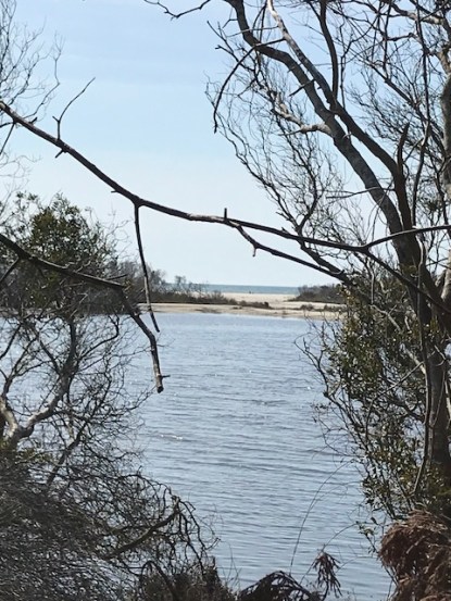 33137EA3-4A0D-465F-B160-0A73223730C8