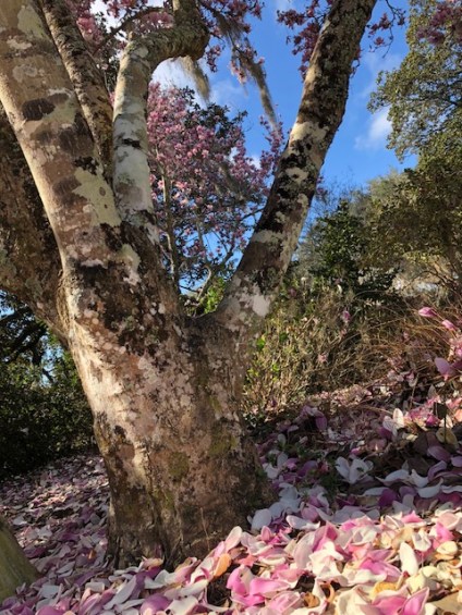 8B054C63-811F-4438-9A11-7E763DFC3668