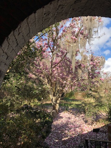 AA42F5B7-7F93-492C-9CA0-2193587757B1