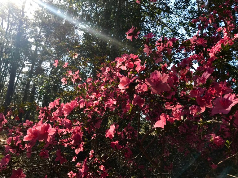 CF225DC4-A093-470E-B229-96F5550D26AE