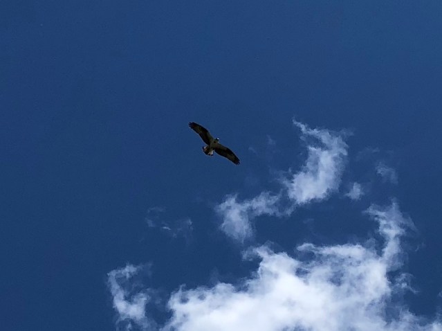 09A1512E-6ADE-4810-A859-E7A065004582