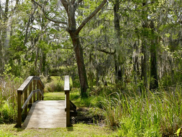 C5D8E803-57B4-4826-9333-D70AC2FC59CE