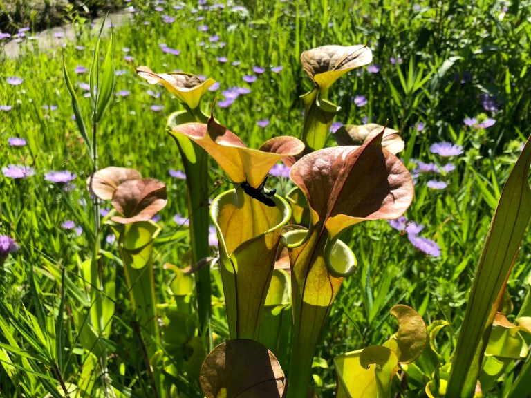 2151E6D0-2F4D-432A-867F-BB68191D1AC4