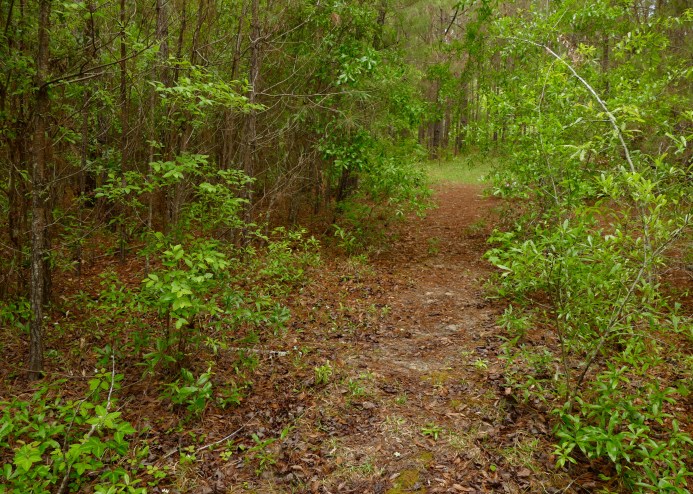 3558B9DD-44F0-47D6-86F7-9B51B3C28C7B