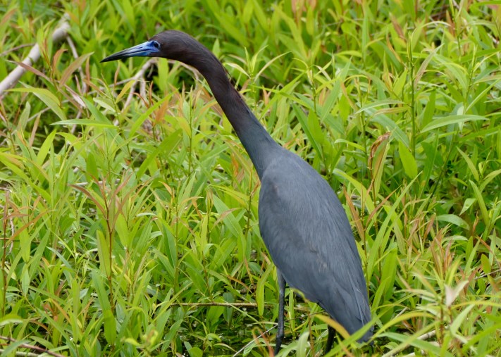 621D2BDF-A5C7-40A7-85A0-A0B81D596784