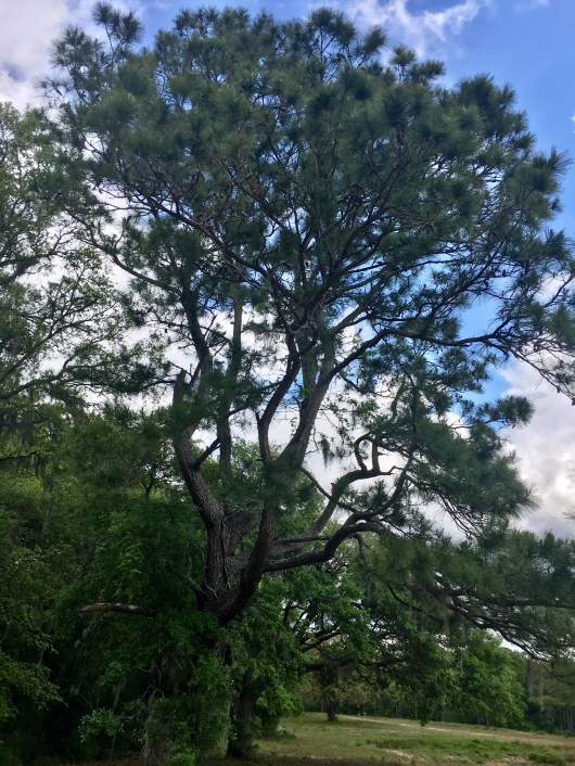 70C22B6C-1E3B-43E4-A398-334B35DBAD22