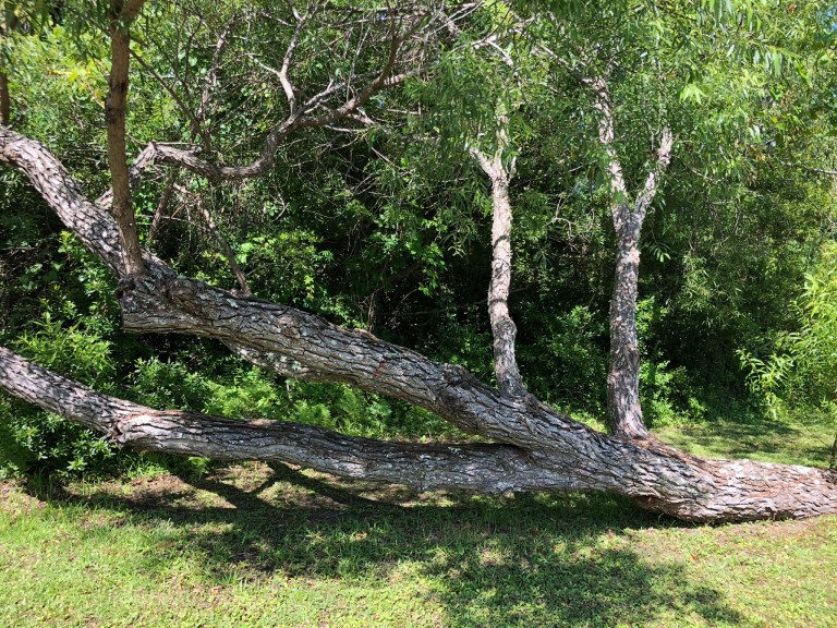 5D99DABE-7F8C-4FBB-B35C-E1AFC5A45339