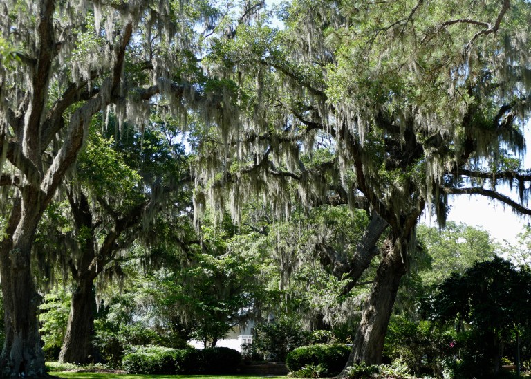 B9C0E2C4-9C57-44CC-83EC-72CD4B1ED715