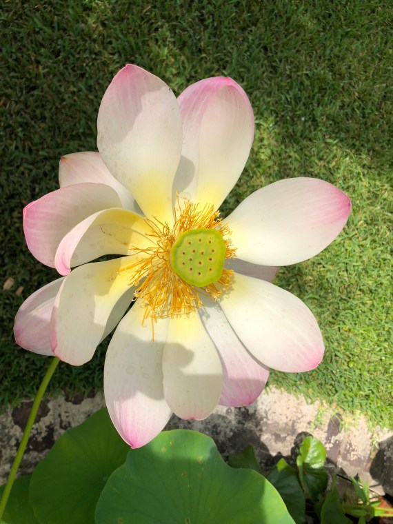 0DB77D01-E6E1-4A9F-A727-B60FADA799C3