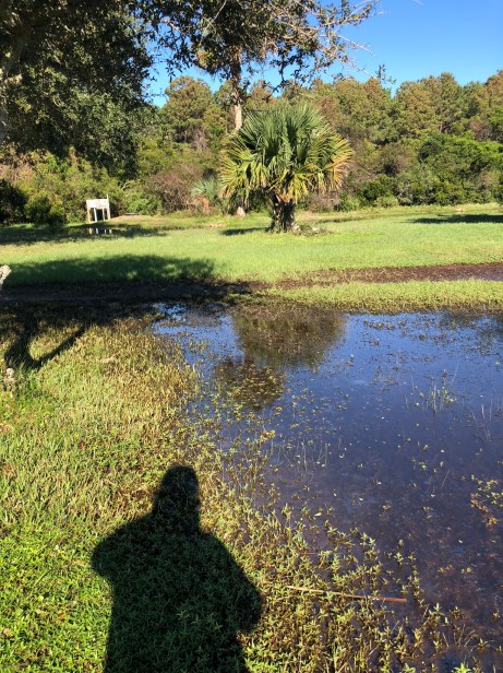 2FFCA5E8-5CB9-4CF9-9BC9-D58988A69980