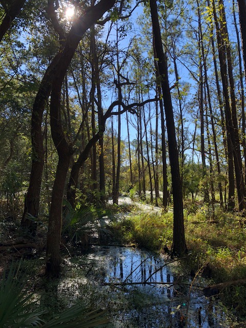 7550E81C-51BD-4C37-B574-A5231BE09D7A