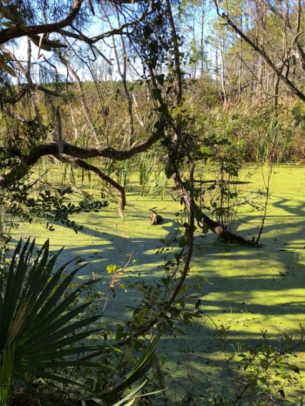 9A8E023A-4B02-4E4C-AF3B-1264FD57D4AA