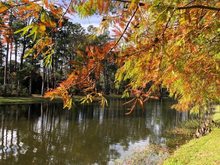 9B44EC7C-60D9-453D-B076-D1B9311A8AD1