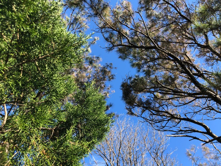 2C96DF20-F8A5-4BB8-982C-C414D83853B0