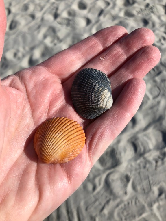 E082B3F1-A2A5-4280-8DF9-C5517FD23DBE