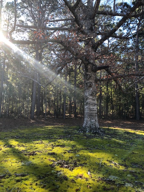 1d5c01eb-09b2-4a22-949a-dab36711e72f