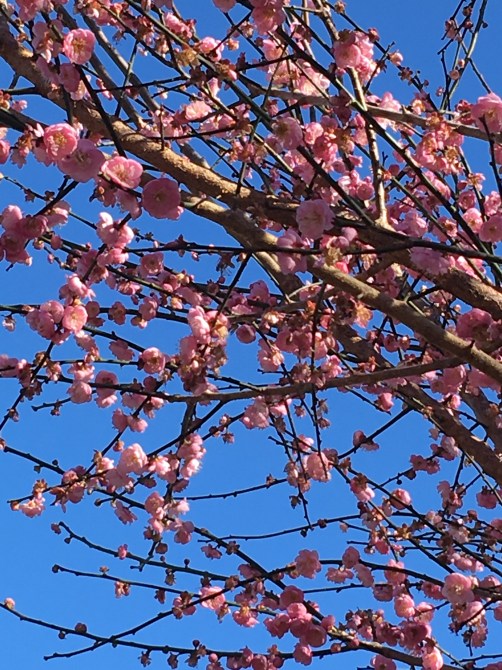 2e382a76-dda9-4ec1-b1cf-d8b8cfe61976