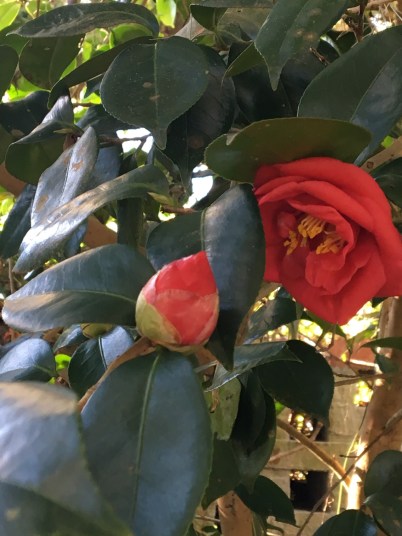 37c51742-3d99-4992-bebb-2792f597ba74