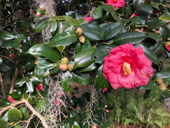 9bde7f6c-2373-4226-9f74-0d92135ba536