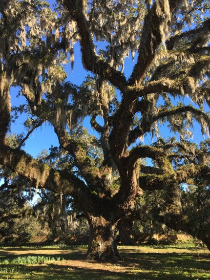 dcf2f344-7173-4910-b9a1-e6209443abba