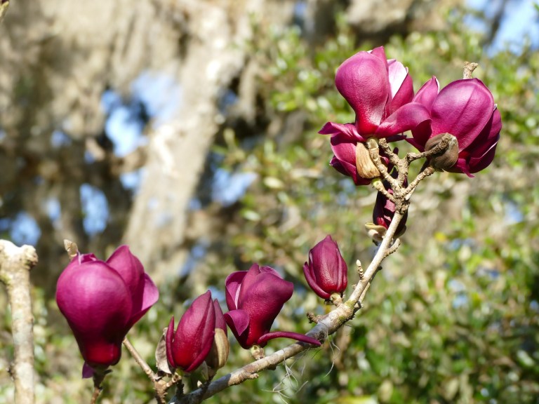 3DC43705-3B19-4EEF-961B-E07CA6BFD401