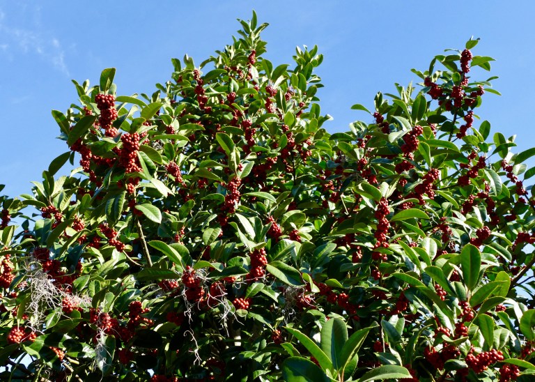 4F003E08-2628-43B5-A417-6E2ECD62FD15