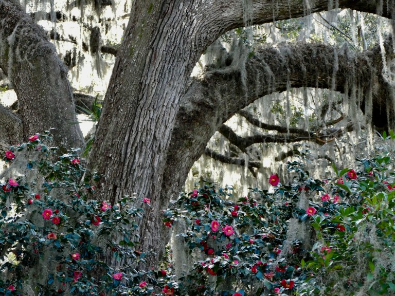 5770E80B-7A65-43FE-BF8C-1E5455A6BEA6