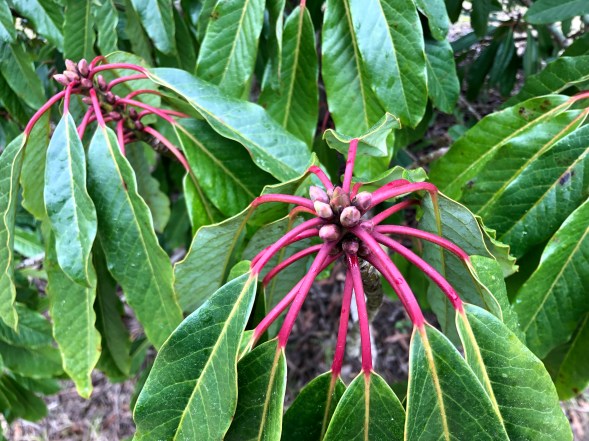 2SUqI1CoRgqSAn+0oxKPMg