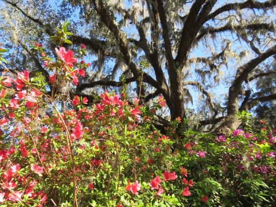 65074793-0D97-42A3-8A49-24EB87B622FD