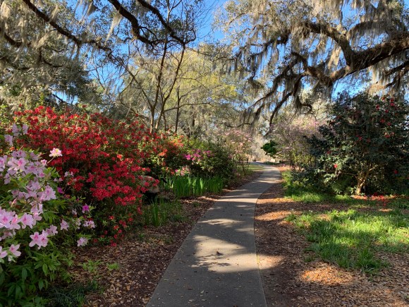 A857CA78-8E07-4D1A-B03F-777F0840838F