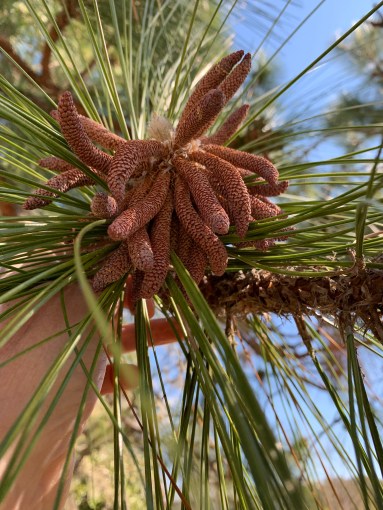 FF74FDA9-11D2-4923-ABBA-5B331B2BA0E7