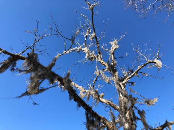 ogd9fNGhQcqWo6gFVHMYEw