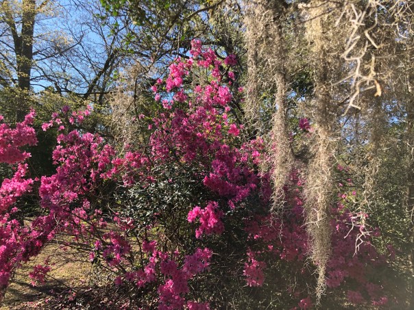 r8IdWOblTPuAQMIGml70iA