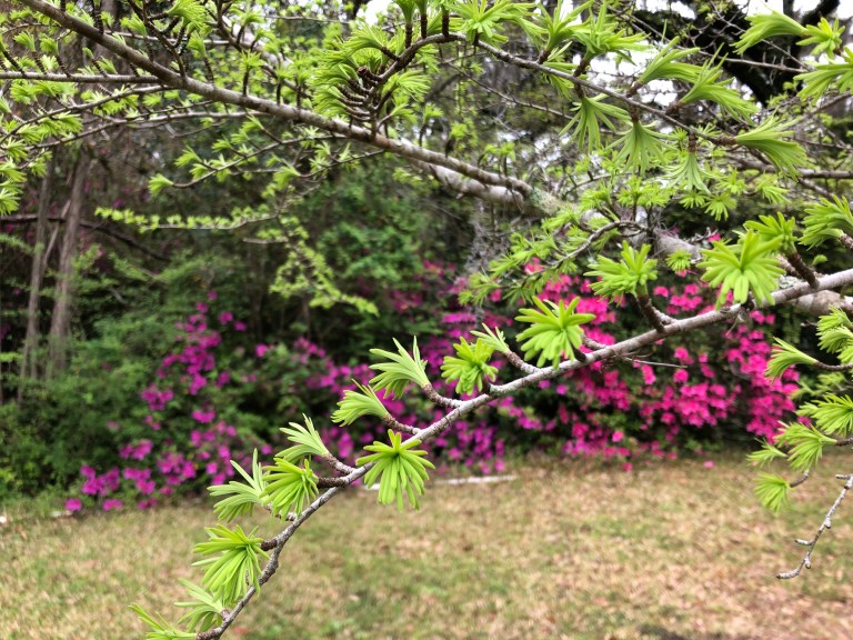 RhUlRSk+SoWuPXOA53k6Jg