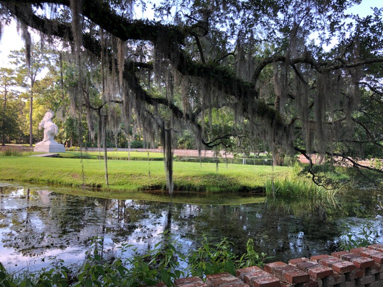 K%O7eJL5Tx6Sv8qMtoXKDw