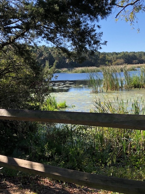 0E10E796-895A-414D-B6BC-A9A3D953BB3E